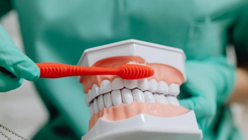 Dental professional brushing plaque from teeth model to demonstrate preventive cleaning